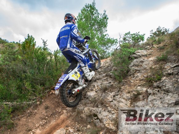 Yamaha WR450F Rally