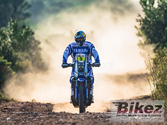 Yamaha WR450F Rally