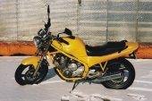 Yamaha_XJ_600_S_Diversion_1994