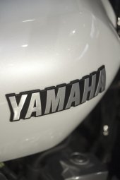 Yamaha_XJR1300_2008