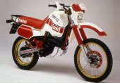 Yamaha_XT_600_T%C3%A9n%C3%A9r%C3%A9_1984