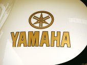 Yamaha_XV950_Boltage_by_Benders_2015