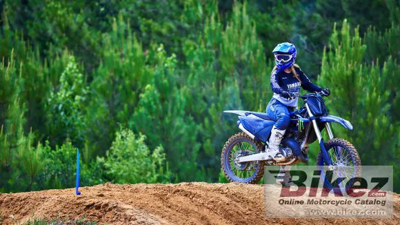 Yamaha YZ125 Monster Energy