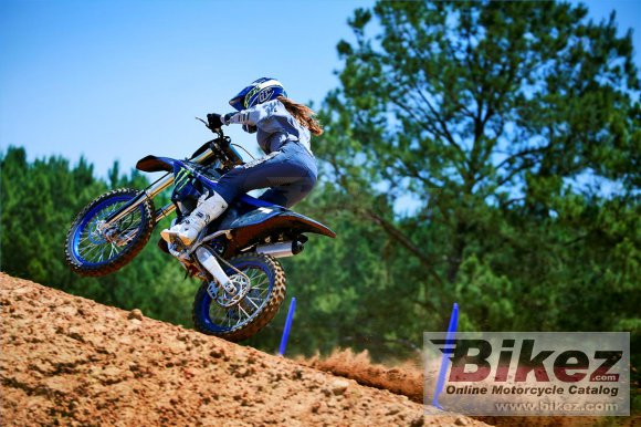 Yamaha YZ125 Monster Energy