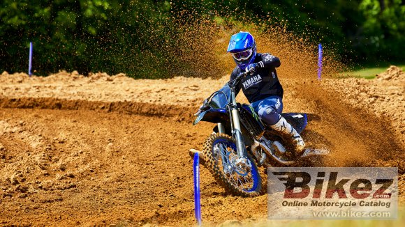 Yamaha YZ125 Monster Energy