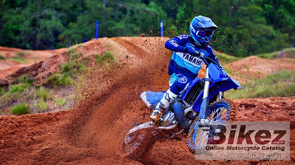 Yamaha YZ250