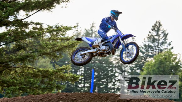 Yamaha YZ250