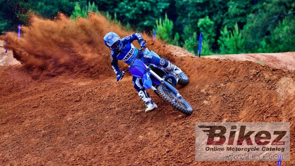 Yamaha YZ250