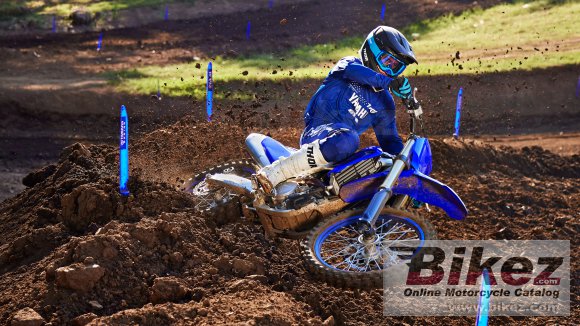 Yamaha YZ250F