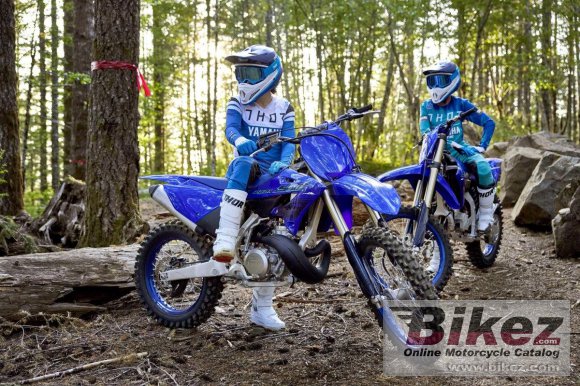 Yamaha YZ250X