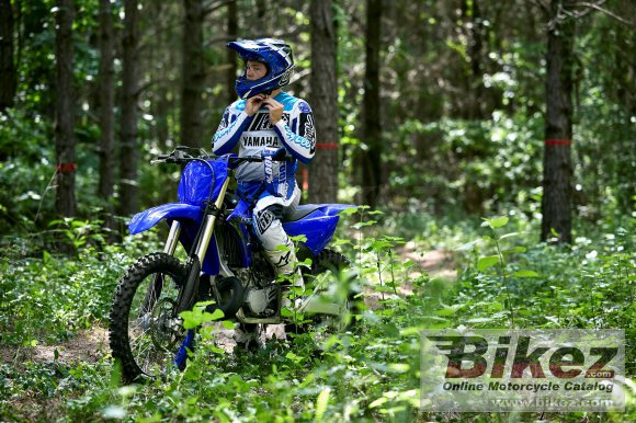 Yamaha YZ250X