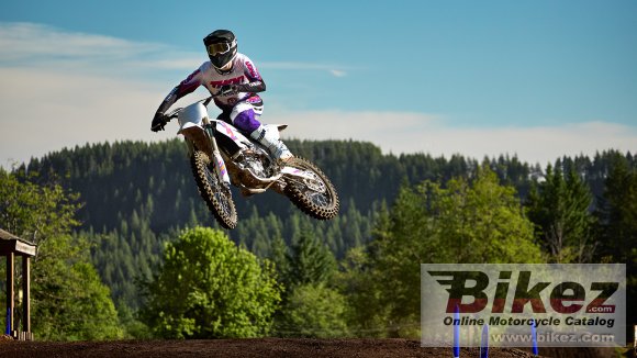 Yamaha YZ450F 50th Anniversary Edition