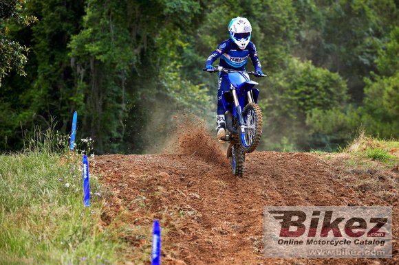 Yamaha YZ85