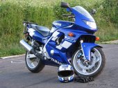 Yamaha_YZF_600_R_Thundercat_1998