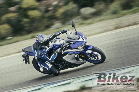 Yamaha YZF-R25